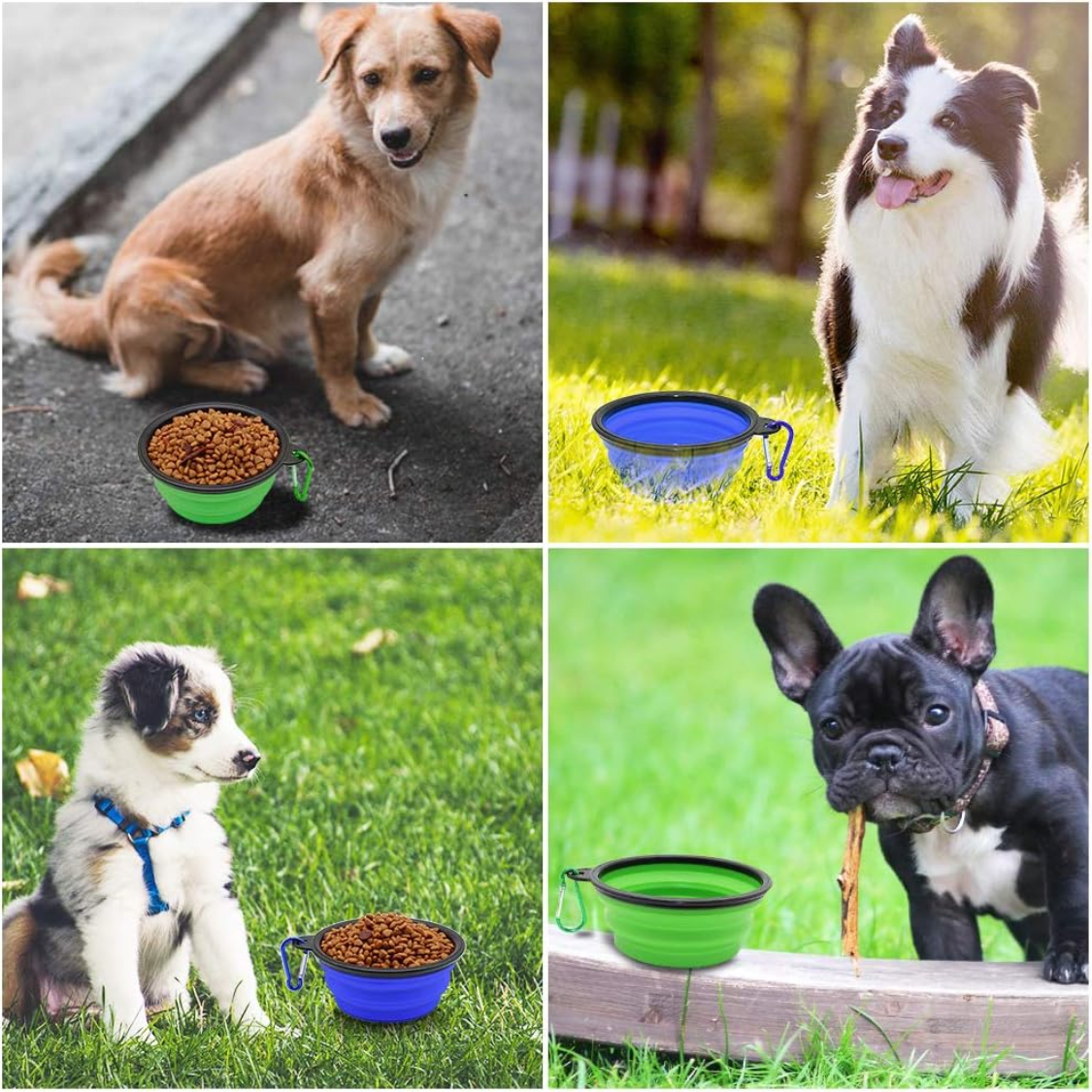 Pawmu Dog Bowl Pet Collapsible Bowls, 2 Pack For Cats Dogs, Portable