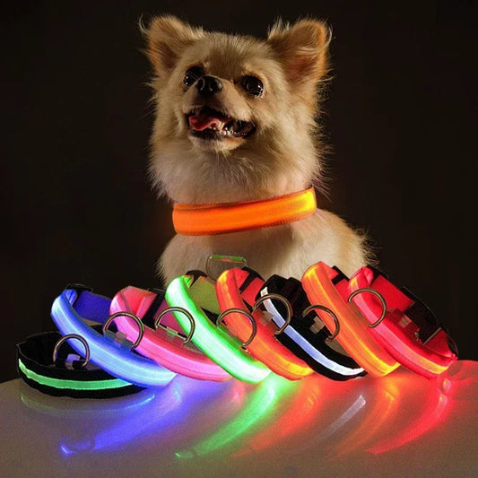LED Dog Collar - PAWMU