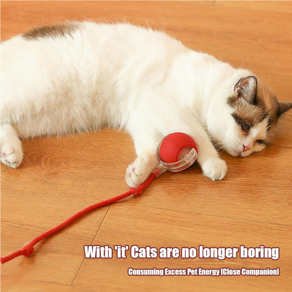 Pawmu Electric Dog Cat Ball Toy,Indoor Large And Small