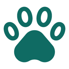 Pawmu